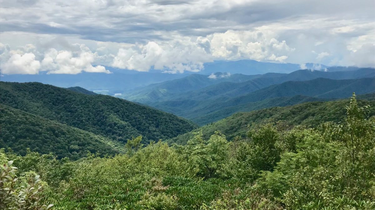 Rocky Top Appalachian Trail